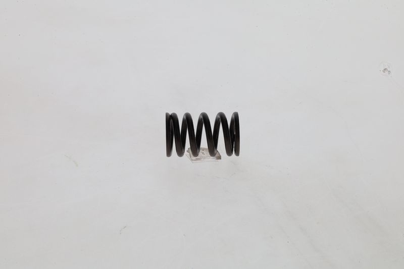 BOSCH 1 424 619 025 Spring