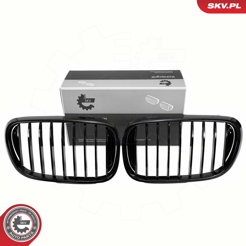 Radiaatorivõre, ESEN SKV 66SKV222