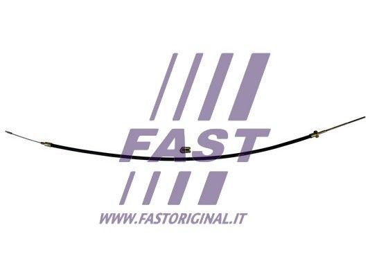 FT70065_1_1.JPG
