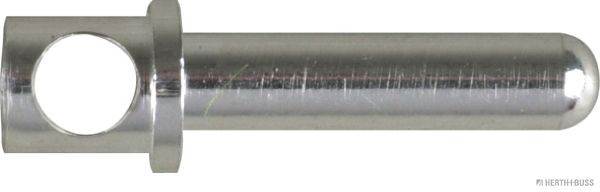 50253943099.JPG