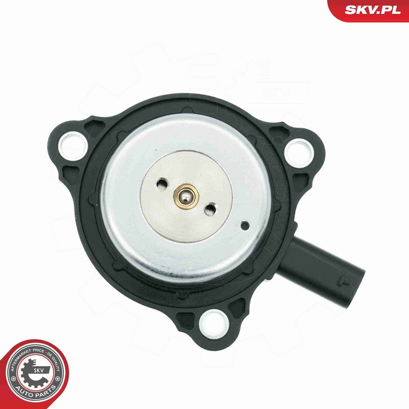 ESEN SKV 39SKV905 Central Magnet, camshaft adjustment