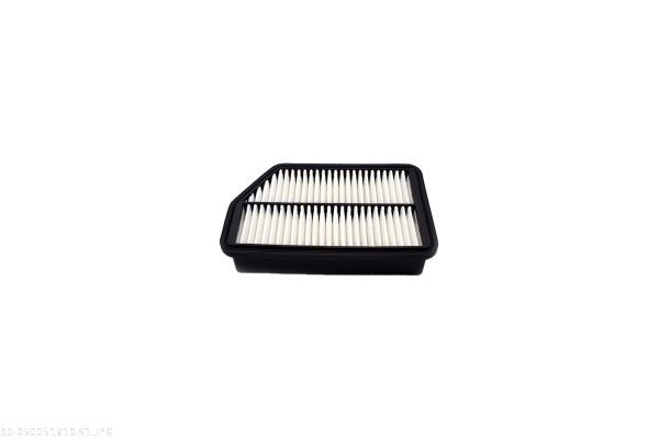 AUTOMEGA 250051610 Air Filter