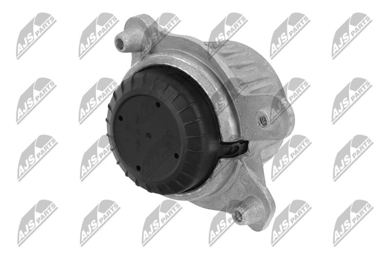 Paigutus, Mootor, NTY ZPS-ME-049