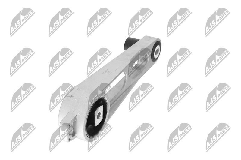 Paigutus, Mootor, NTY ZPS-CH-011