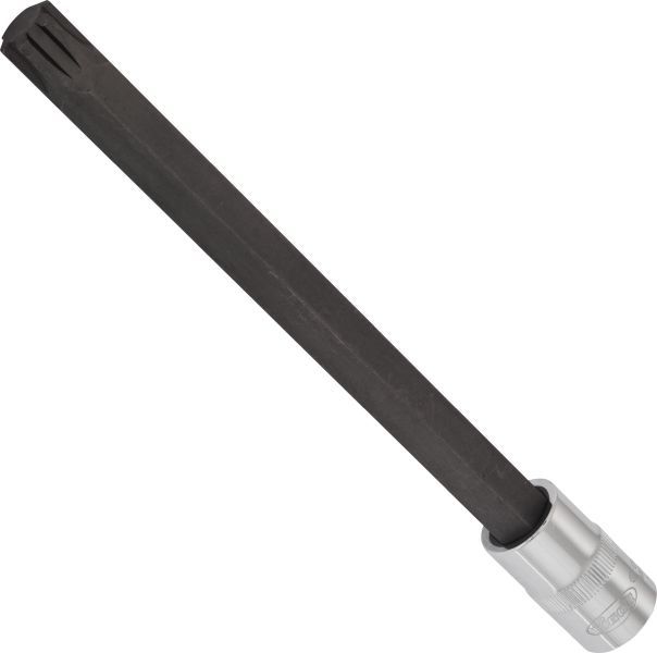 Padrun, VIGOR V2233