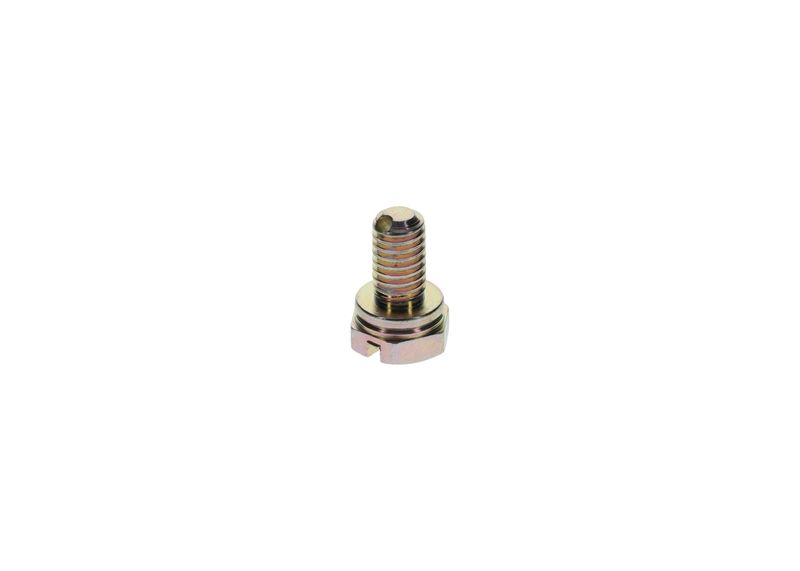 Surub 1 413 453 025 BOSCH