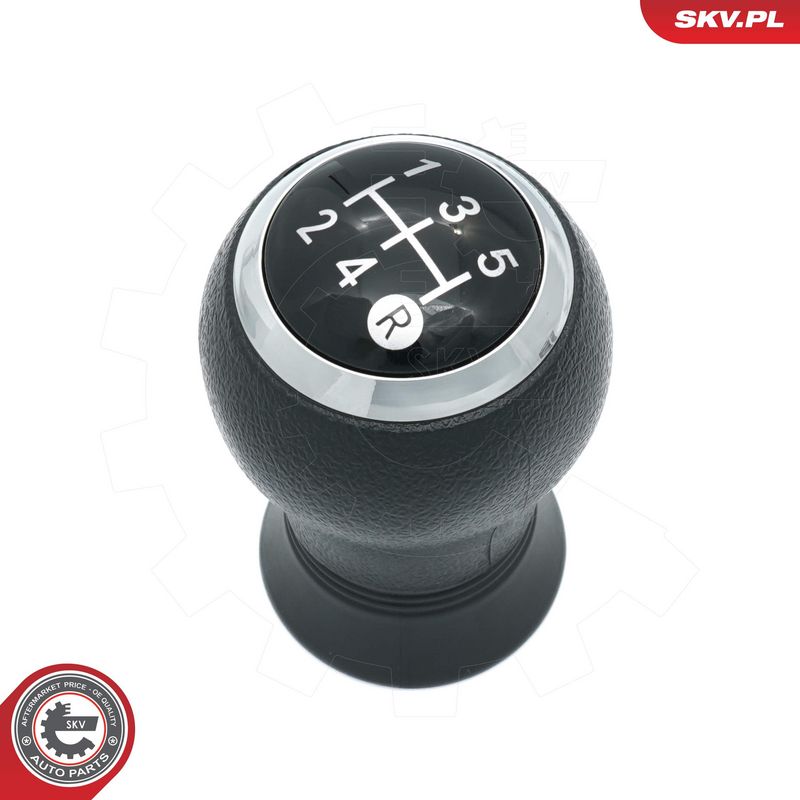 Käigukanginupp, ESEN SKV...