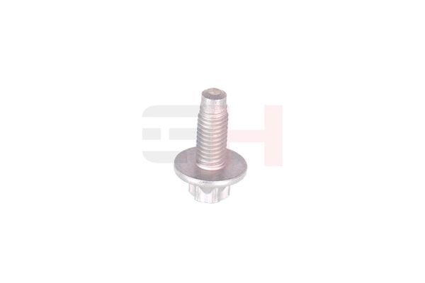 Vedruamordi tugilaager, GH GH-393311