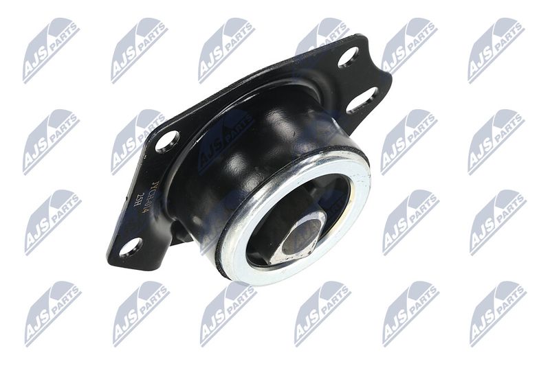 Paigutus, Mootor, NTY ZPS-CH-014