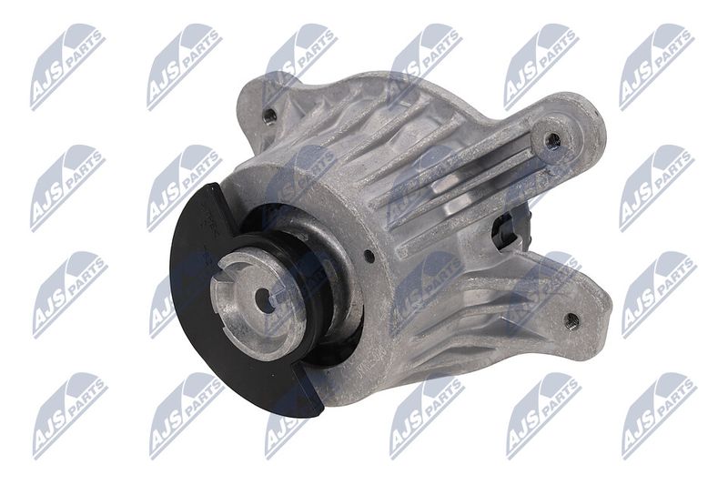 Paigutus, Mootor, NTY ZPS-ME-028