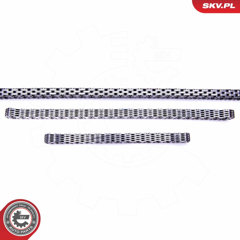 Mootori keti komplekt, ESEN SKV 21SKV163