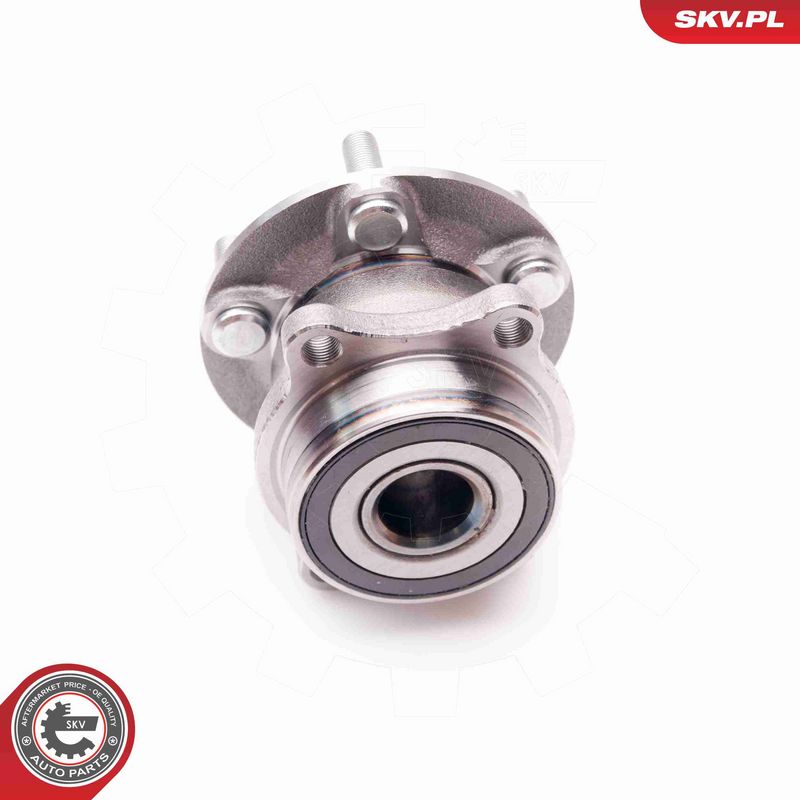 ESEN SKV 29SKV059 Wheel Bearing Kit