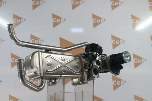 DA SILVA GR6141 EGR Valve
