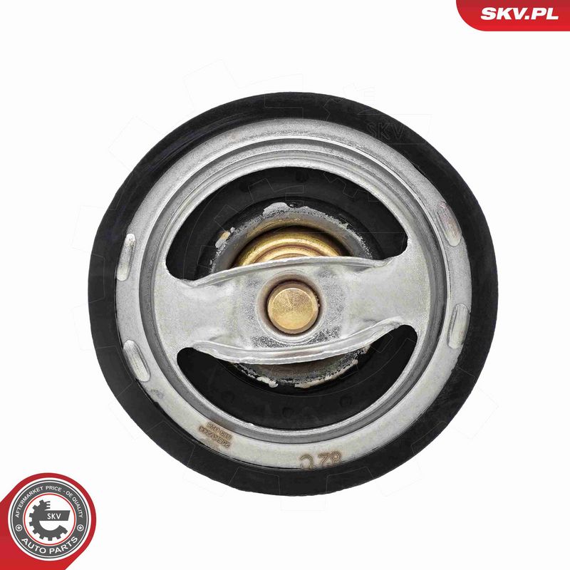 ESEN SKV 20SKV244 Termostatas