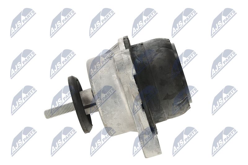 Paigutus, Mootor, NTY ZPS-FR-013