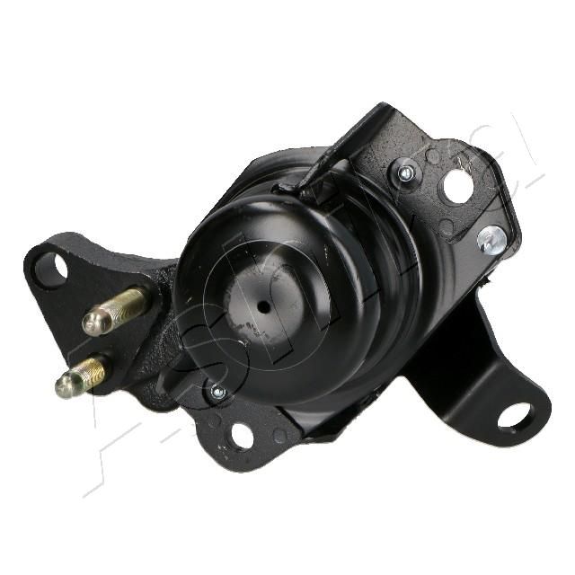 GOM-2770_1.JPG