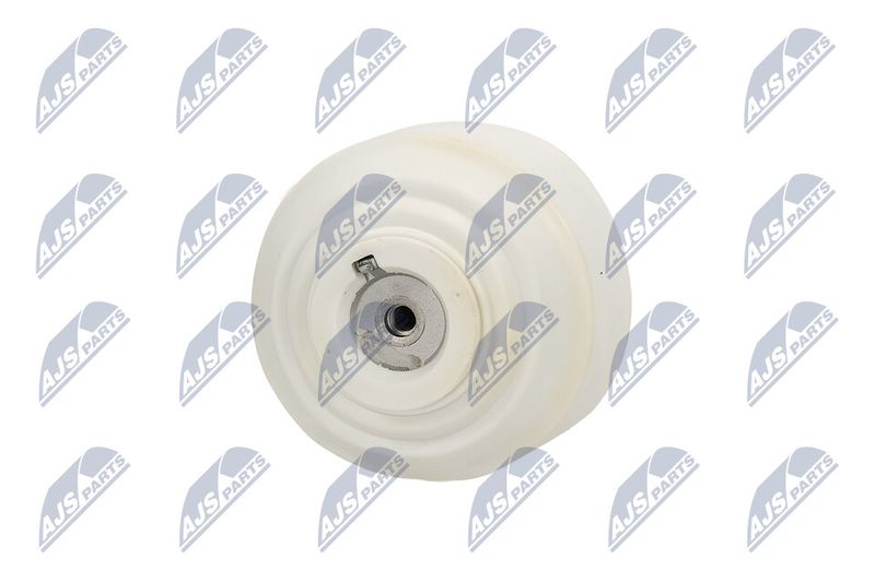 Paigutus, Mootor, NTY ZPS-ME-103