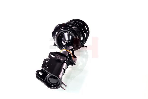 Vedruamort, GH GH-353389C02