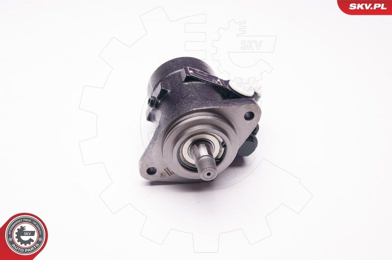 ESEN SKV 1SKV0013 Hydraulic Pump, steering