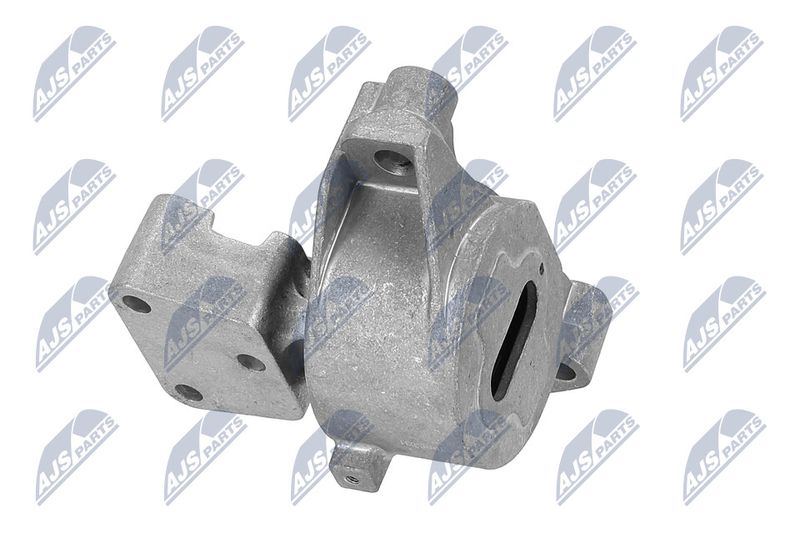 Paigutus, Mootor, NTY ZPS-PE-031