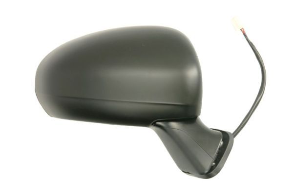 BLIC 5402-19-2002508P Exterior Mirror
