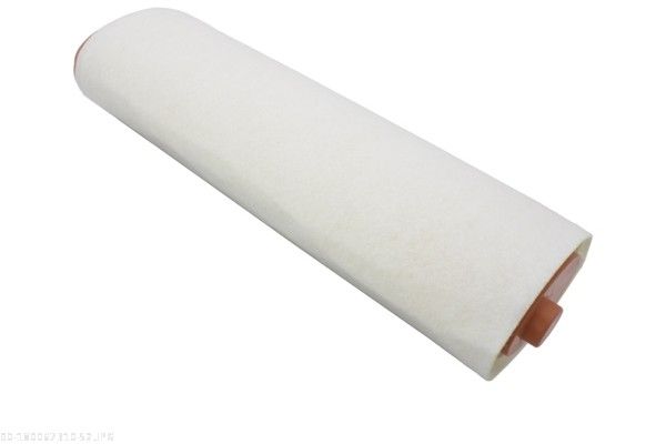 AUTOMEGA 180067310 Air Filter