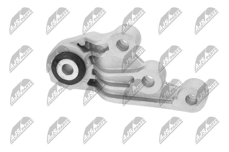 Paigutus, Mootor, NTY ZPS-CH-123