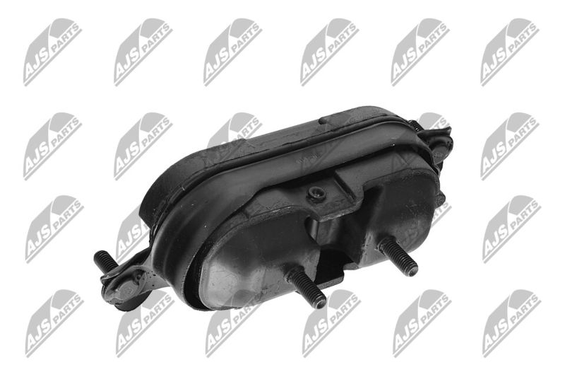 Paigutus, Mootor, NTY ZPS-CH-115