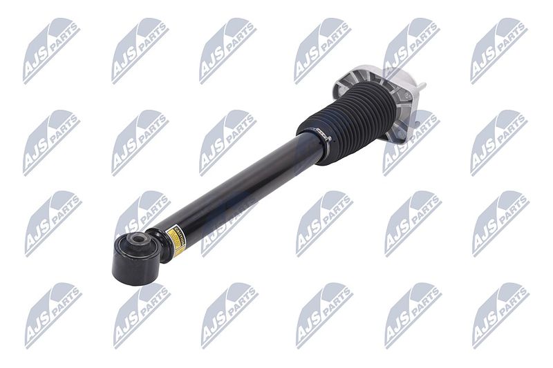 Amort, NTY A-LR-015