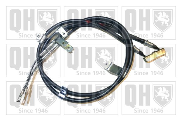 QH_BC3956.JPG