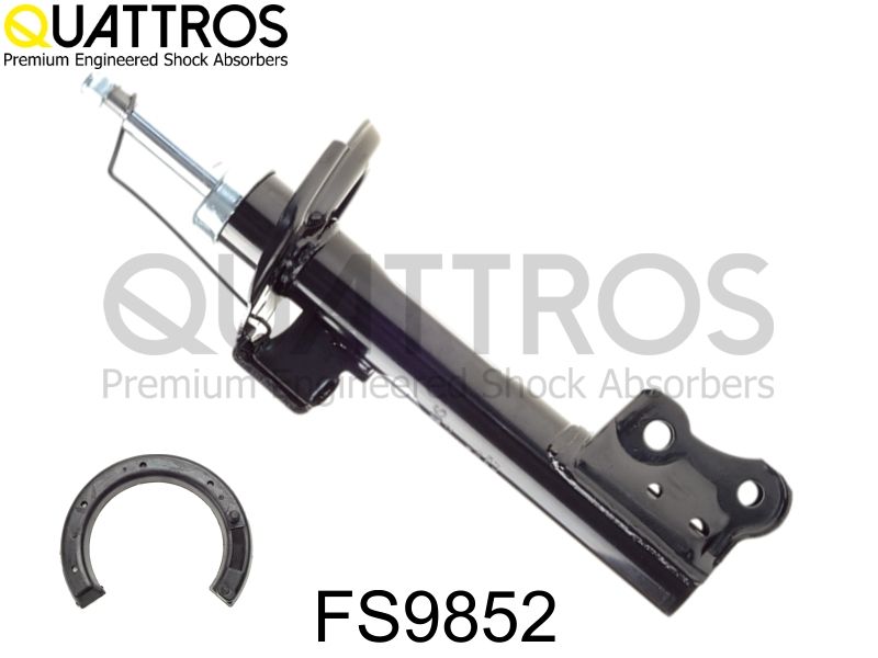 fs9852.JPG