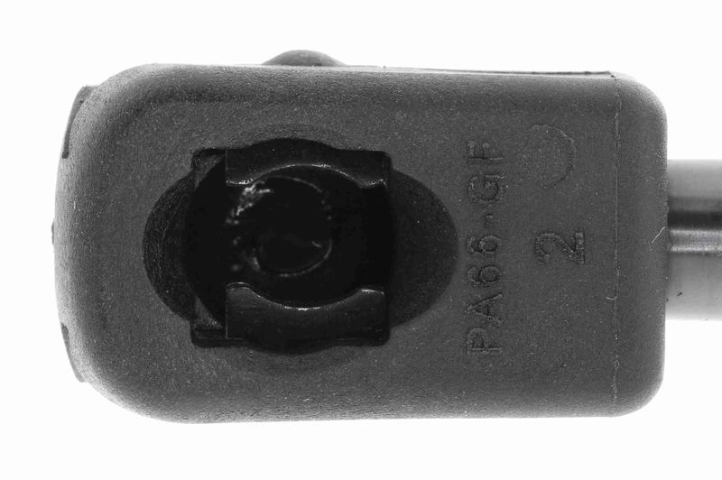 VAICO V50-0043 Gas Spring, boot/cargo area