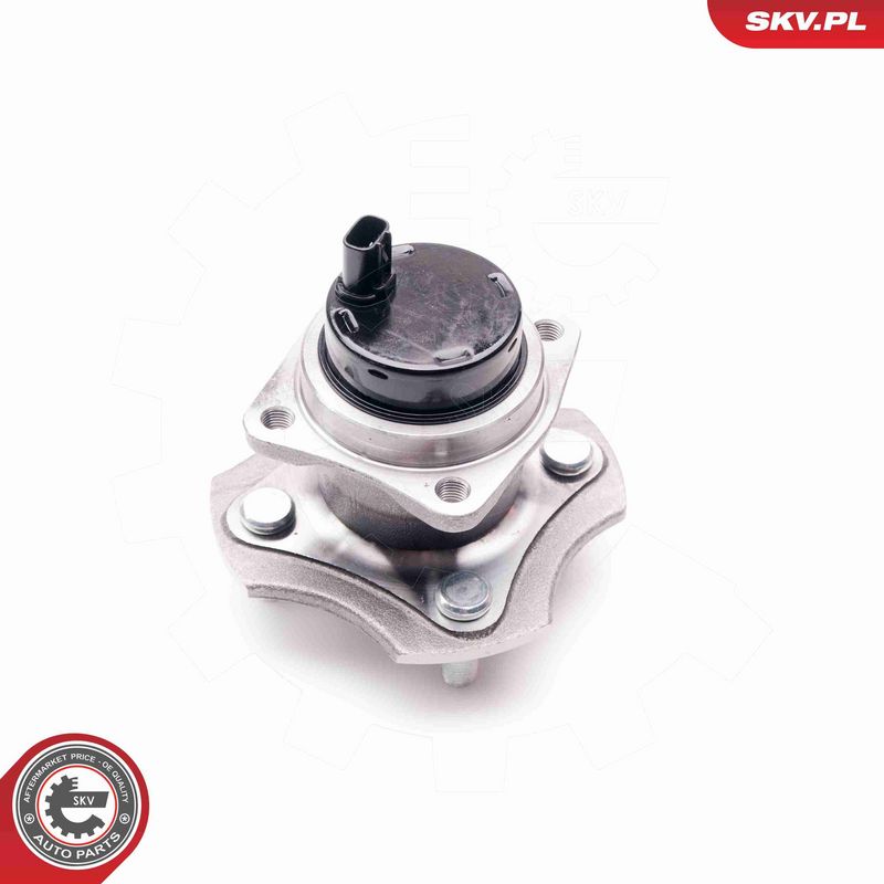 ESEN SKV 29SKV091 Wheel Bearing Kit