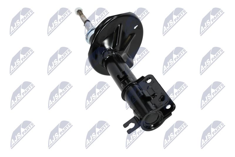 Amort, NTY A-CH-053