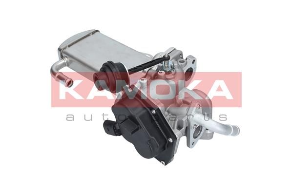 KAMOKA 19068 EGR Module