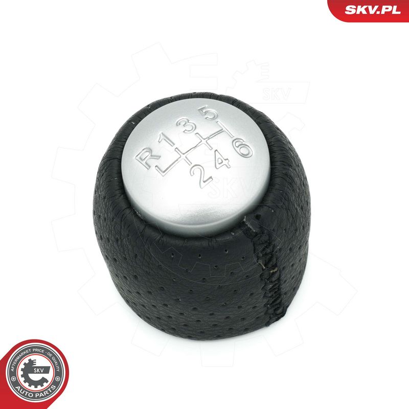 Käigukanginupp, ESEN SKV 63SKV004