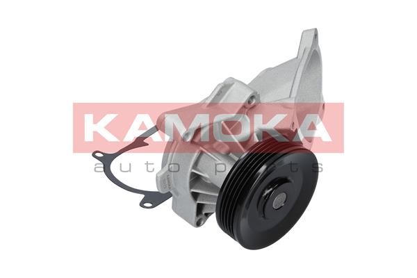 KAMOKA T0173 Water Pump, engine cooling