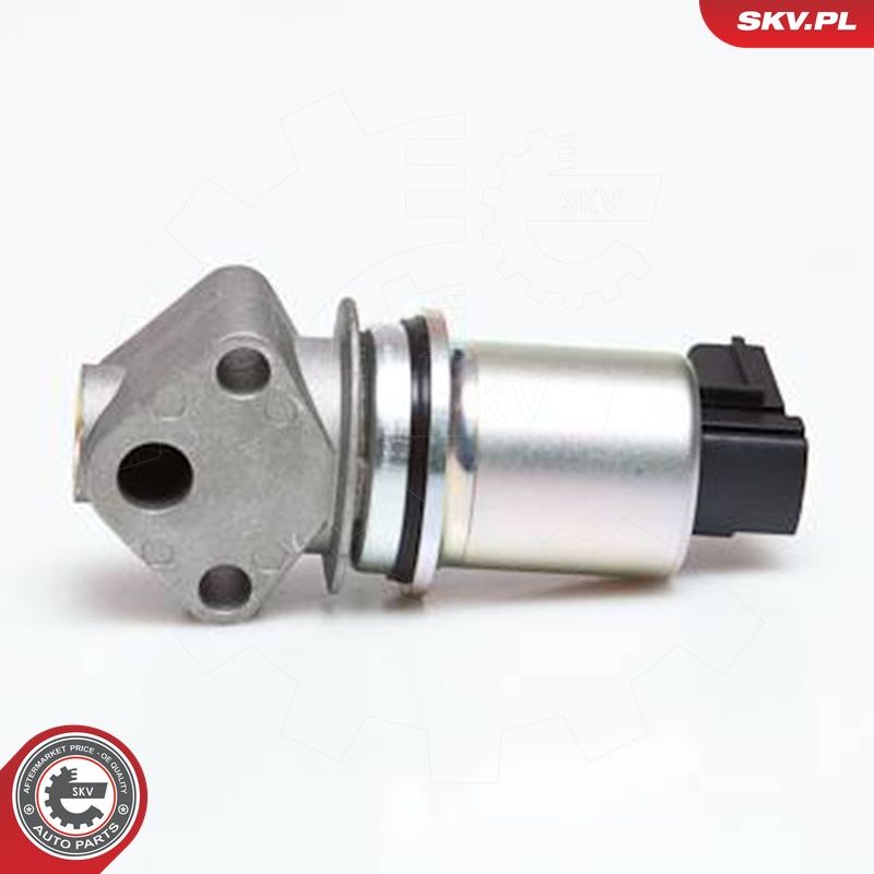 EGR-klapp, ESEN SKV 14SKV029