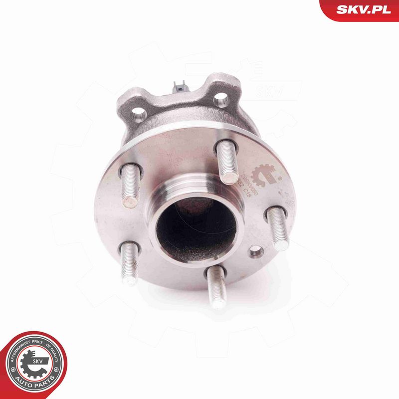 ESEN SKV 29SKV050 Wheel Bearing Kit