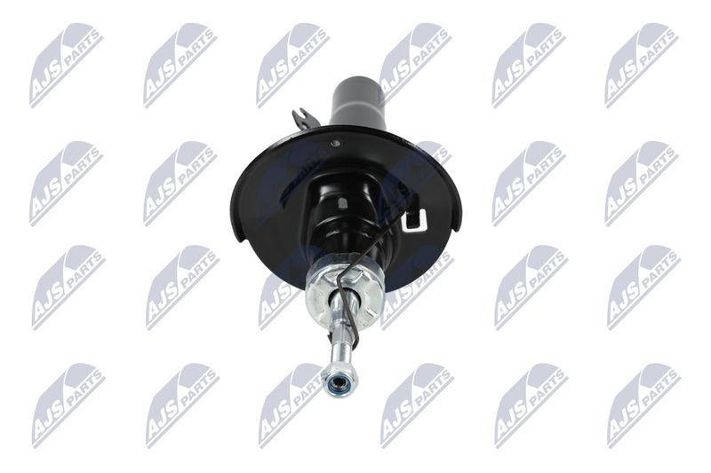 Amort, NTY A-CT-044