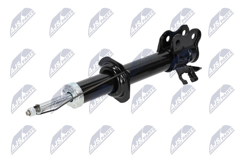 Amort, NTY A-NS-008