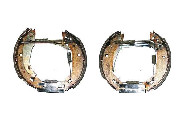 BOSCH 0 204 114 525 Brake Shoe Set