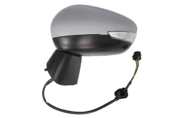 BLIC 5402-21-1882318P Exterior Mirror