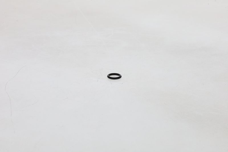 BOSCH F002A51088 Rubber Ring