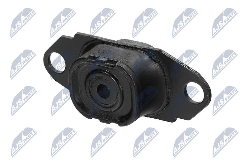 Paigutus, Mootor, NTY ZPS-NS-080