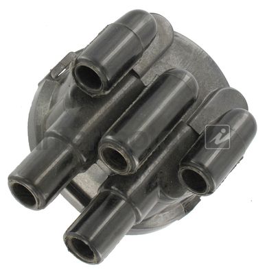 46250_5847031.JPG