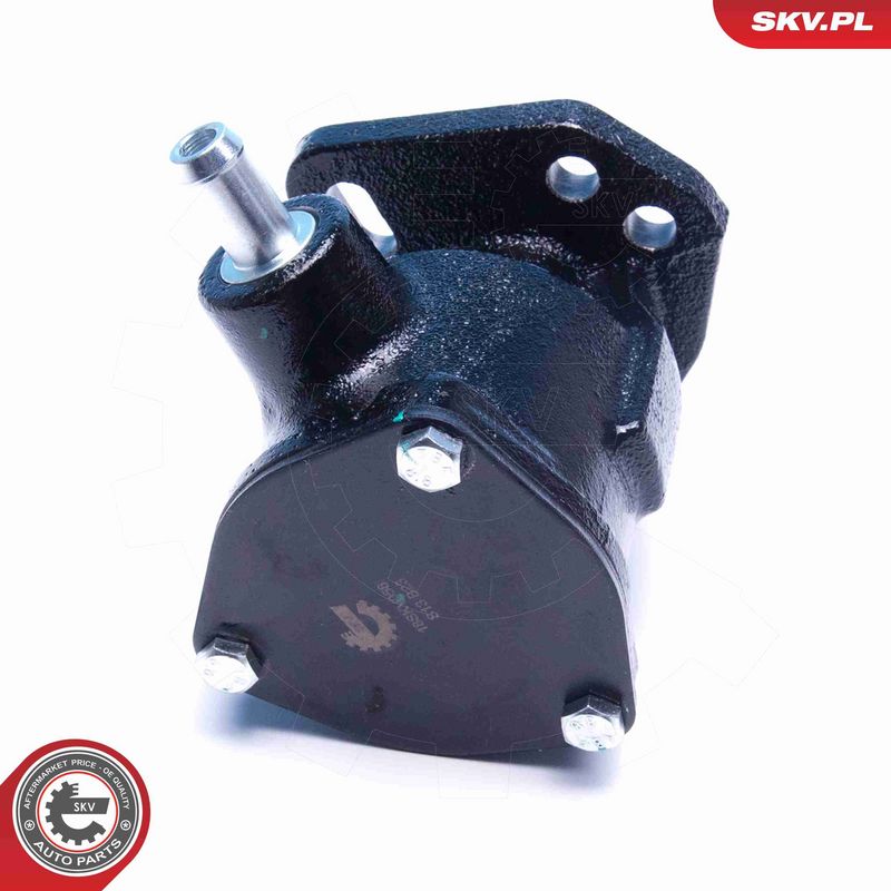 ESEN SKV 18SKV058 Vacuum Pump, braking system