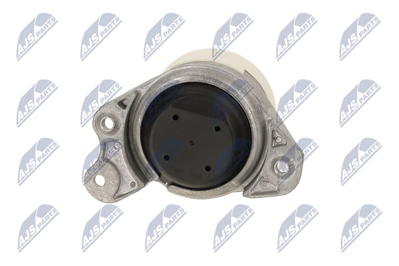 Paigutus, Mootor, NTY ZPS-ME-052