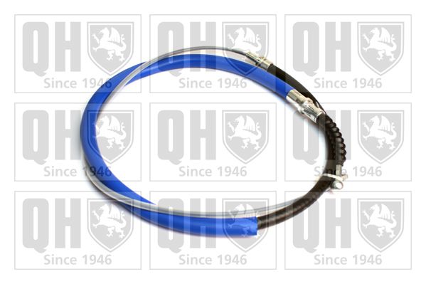 QH_BC3953.JPG