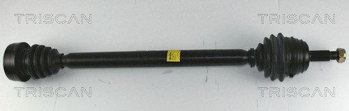 854029511.JPG